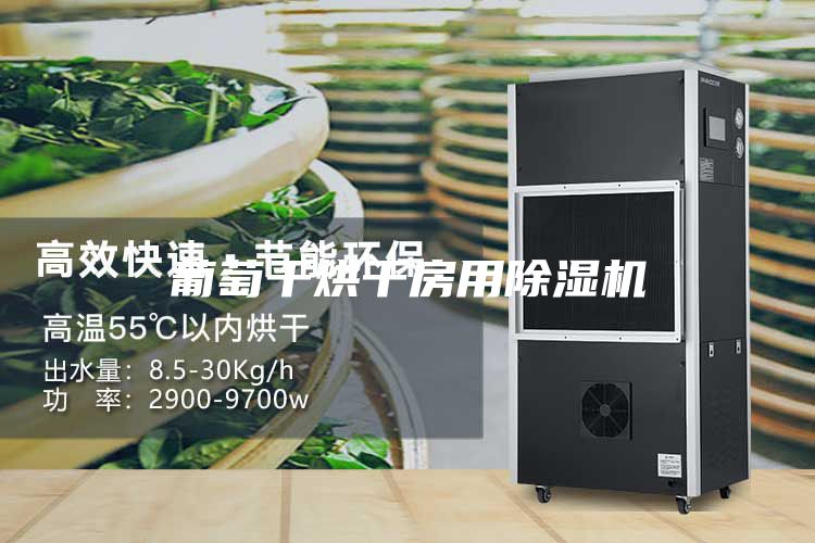 葡萄干烘干房用除湿机