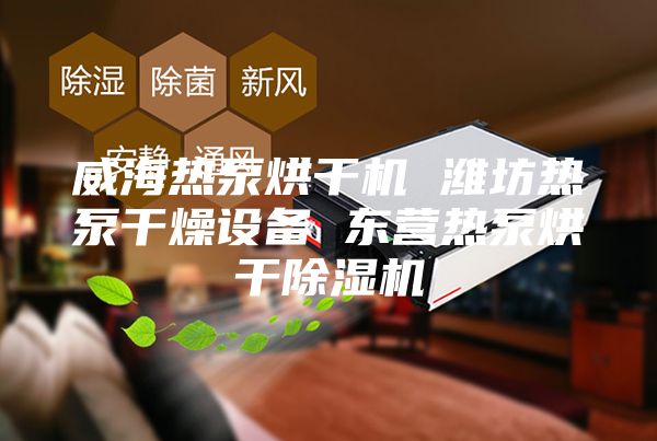 威海热泵烘干机 潍坊热泵干燥设备 东营热泵烘干除湿机