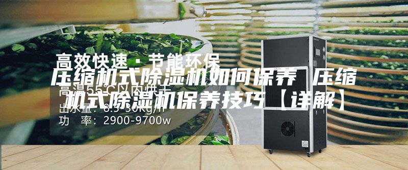 压缩机式除湿机如何保养 压缩机式除湿机保养技巧【详解】