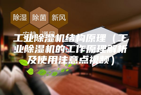 工业除湿机结构原理（工业除湿机的工作原理解析及使用注意点视频）
