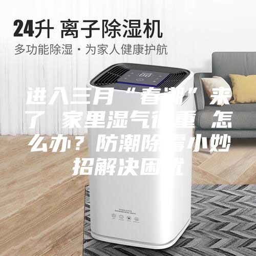进入三月“春潮”来了 家里湿气很重 怎么办？防潮除霉小妙招解决困扰