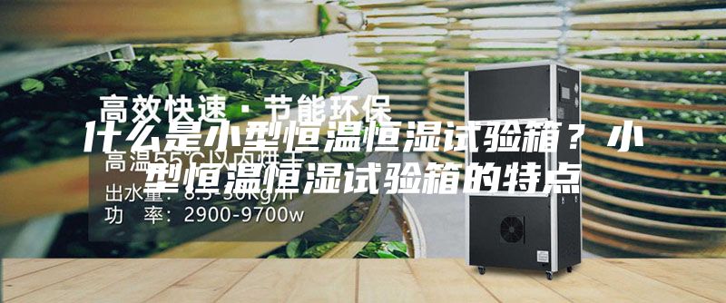什么是小型恒温恒湿试验箱？小型恒温恒湿试验箱的特点