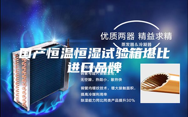 国产恒温恒湿试验箱堪比进口品牌