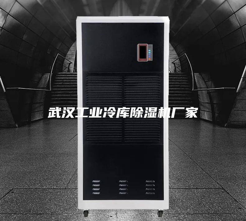 武汉工业冷库除湿机厂家
