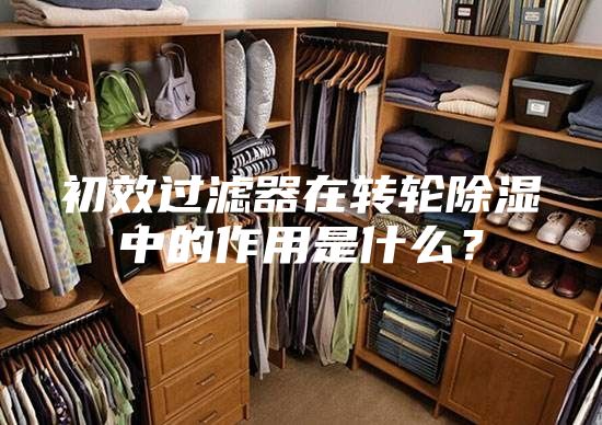 初效过滤器在转轮除湿中的作用是什么?