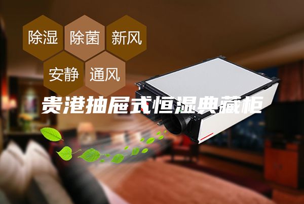 贵港抽屉式恒湿典藏柜