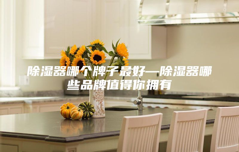 除湿器哪个牌子最好—除湿器哪些品牌值得你拥有
