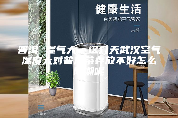 普洱 湿气大,这几天武汉空气湿度大对普洱茶存放不好怎么防潮呢