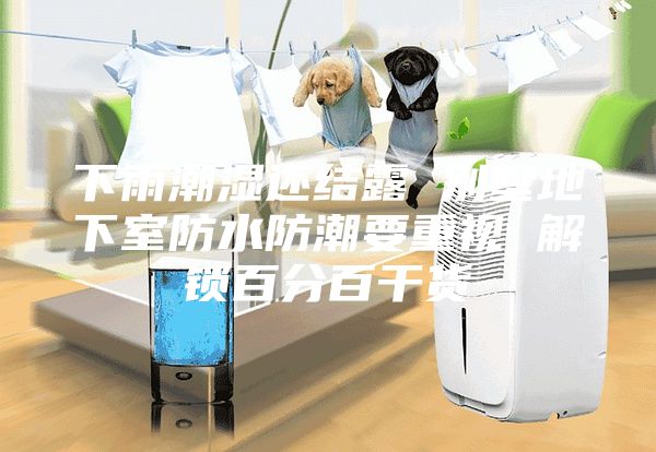 下雨潮湿还结露 别墅地下室防水防潮要重视 解锁百分百干货