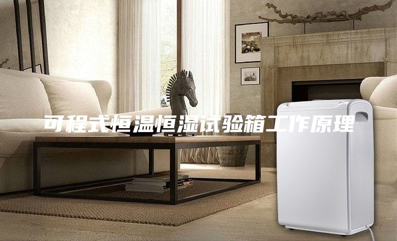 可程式恒温恒湿试验箱工作原理