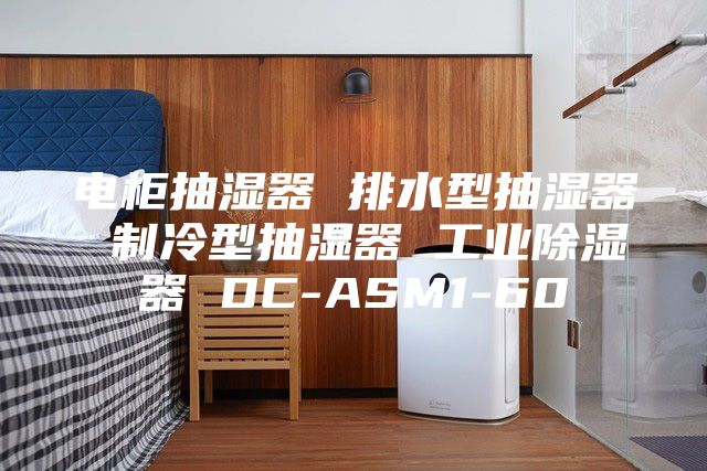 电柜抽湿器 排水型抽湿器 制冷型抽湿器 工业除湿器 DC-ASM1-60