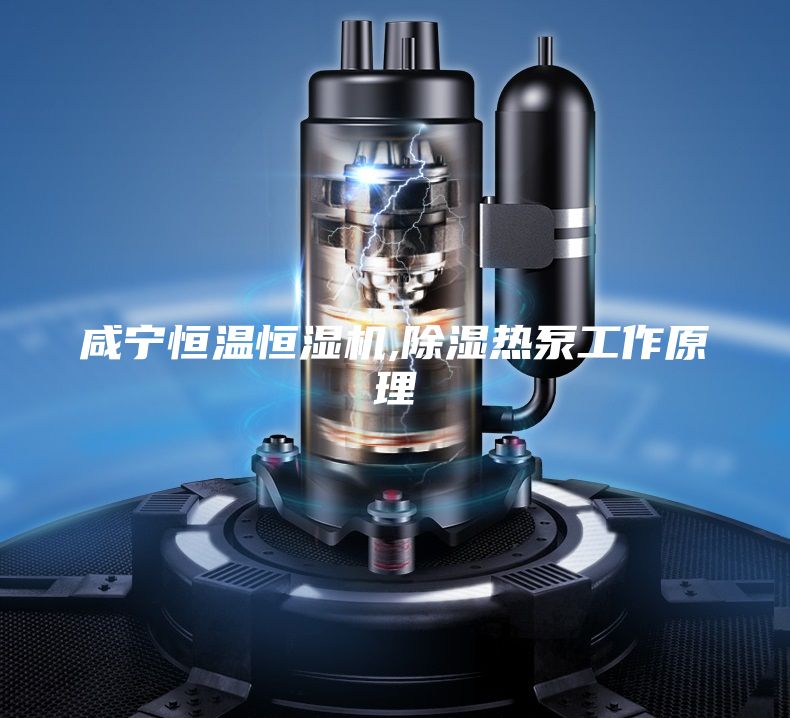 咸宁恒温恒湿机,除湿热泵工作原理