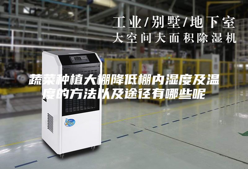 蔬菜种植大棚降低棚内湿度及温度的方法以及途径有哪些呢