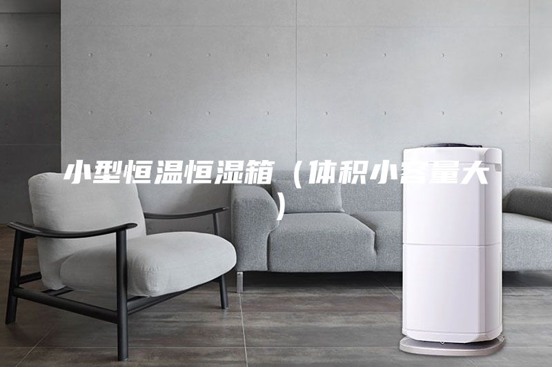 小型恒温恒湿箱（体积小容量大）