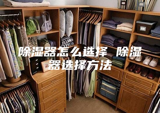 除湿器怎么选择 除湿器选择方法
