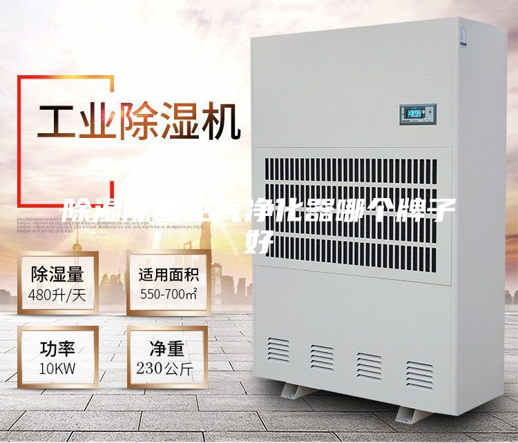 除湿除菌空气净化器哪个牌子好