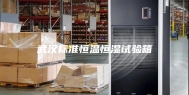 武汉标准恒温恒湿试验箱