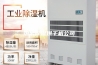 热泵除湿烘干机公司
