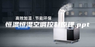 恒温恒湿空调控制原理.ppt