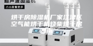 烘干房除湿机厂家江津区空气能烘干机烧柴烘干房湖南