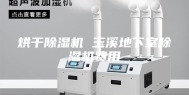 烘干除湿机 玉溪地下室除湿机费用