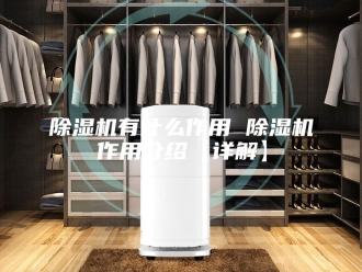 企业新闻除湿机有什么作用 除湿机作用介绍【详解】