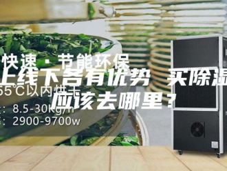 行业新闻线上线下各有优势 买除湿机应该去哪里？