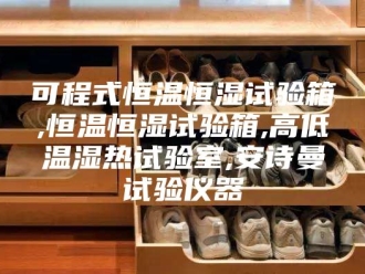 企业新闻可程式恒温恒湿试验箱,恒温恒湿试验箱,高低温湿热试验室,安诗曼试验仪器