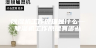 除湿机工作原理是什么—除湿机工作原理有哪些