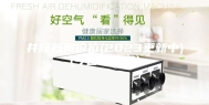 井陉新风价位(2023更新中)(今日／新品)