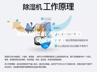 行业新闻安庆除湿机 安庆除湿机 安庆除湿机