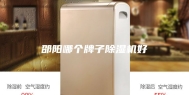 邵阳哪个牌子除湿机好