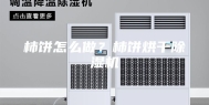 柿饼怎么做？柿饼烘干除湿机