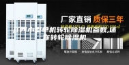 江西小型单机转轮除湿机参数,迷你转轮除湿机
