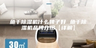 鱼干除湿机什么牌子好 鱼干除湿机品牌介绍【详解】