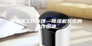 除湿器工作原理—除湿机系统的工作原理