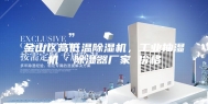 金山区高低温除湿机，工业抽湿机  除湿器厂家 价格