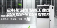 定制恒温恒湿柜工业恒温恒湿柜恒温恒湿储存柜