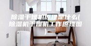 除湿干燥机原理是什么(除湿机干燥机工作原理图)