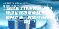 除湿机工作原理是什么？除湿机是否是应对潮湿的最好办法（有哪些品牌推荐）？