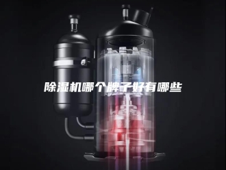 企业新闻除湿机哪个牌子好有哪些