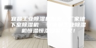 宜昌工业除湿机批发，厂家地下室除湿机  安诗曼工业除湿机恒温恒湿设备厂家！