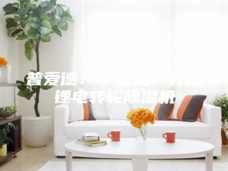 行业新闻普爱德：“微观”打造锂电转轮除湿机