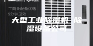 大型工业除湿机 除湿设备公司