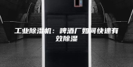 工业除湿机：啤酒厂如何快速有效除湿