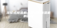 滚轮式除湿机—滚轮式除湿机的普及