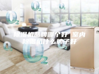 企业新闻除湿机品牌哪个好 室内除湿机什么牌子好