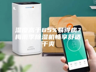 行业新闻湿度高于65%易得病？梅雨季除湿机畅享舒适干爽