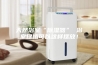 天然浴室“除湿器” 浴室绿植可以这样摆放！