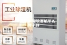 湖南工业车间除湿机什么牌子好